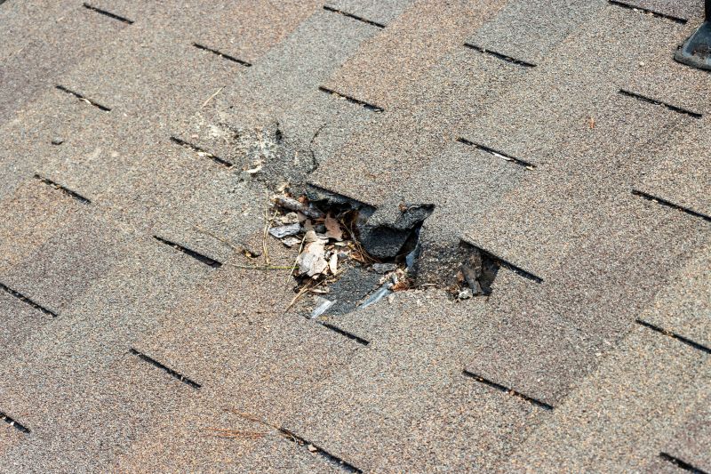 Damaged Roof Replacement in Forsyth, GA